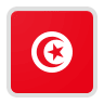 Tunisia v Denmark Betting Odds & Predictions
