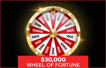 The $30,000 Wheel of Fortune Game