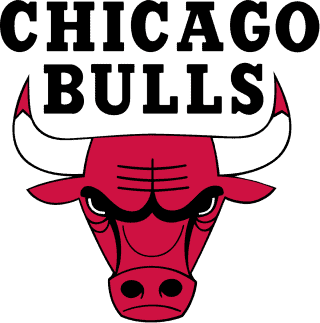 Chicago Bulls Logo