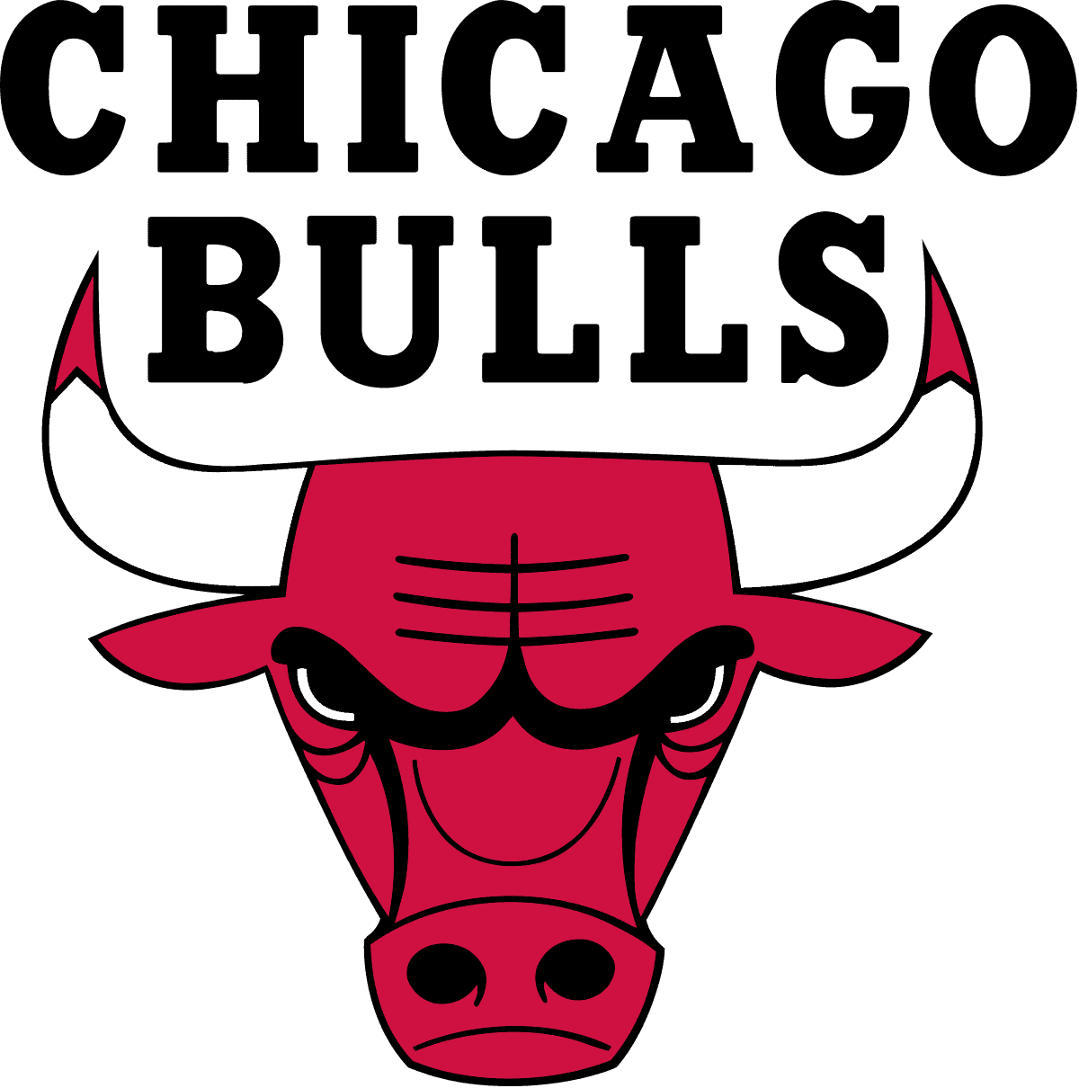 Chicago Bulls: Team Updates, Players, History