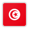 Tunisia v Denmark Betting Odds & Predictions