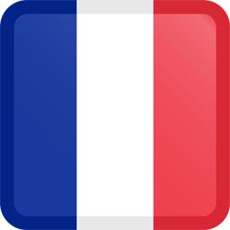 Rugby Predictions France