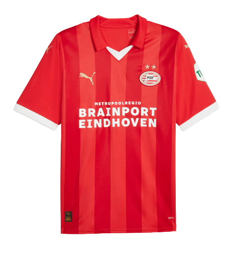 PSV Predictions
